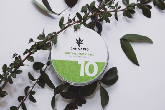 Vhodnou volnou a zárukou kvality jsou naše semínka Cannapio